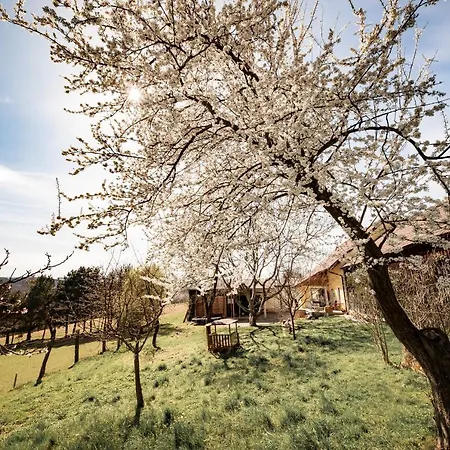 Gaestehaus Gnant Appartement