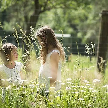 Gaestehaus Gnant * Winten (Wienerwald)
