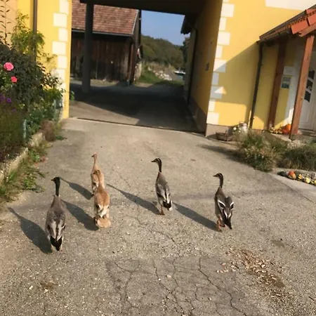 Gastehaus Gnant * Winten (Wienerwald)