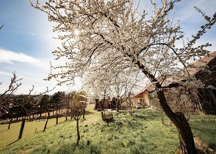 Gaestehaus Gnant Διαμέρισμα