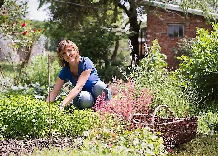 Διαμέρισμα Gaestehaus Gnant Winten (Wienerwald)