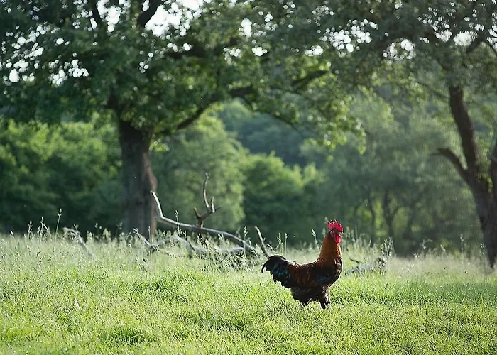 Lejlighed Gastehaus Gnant *